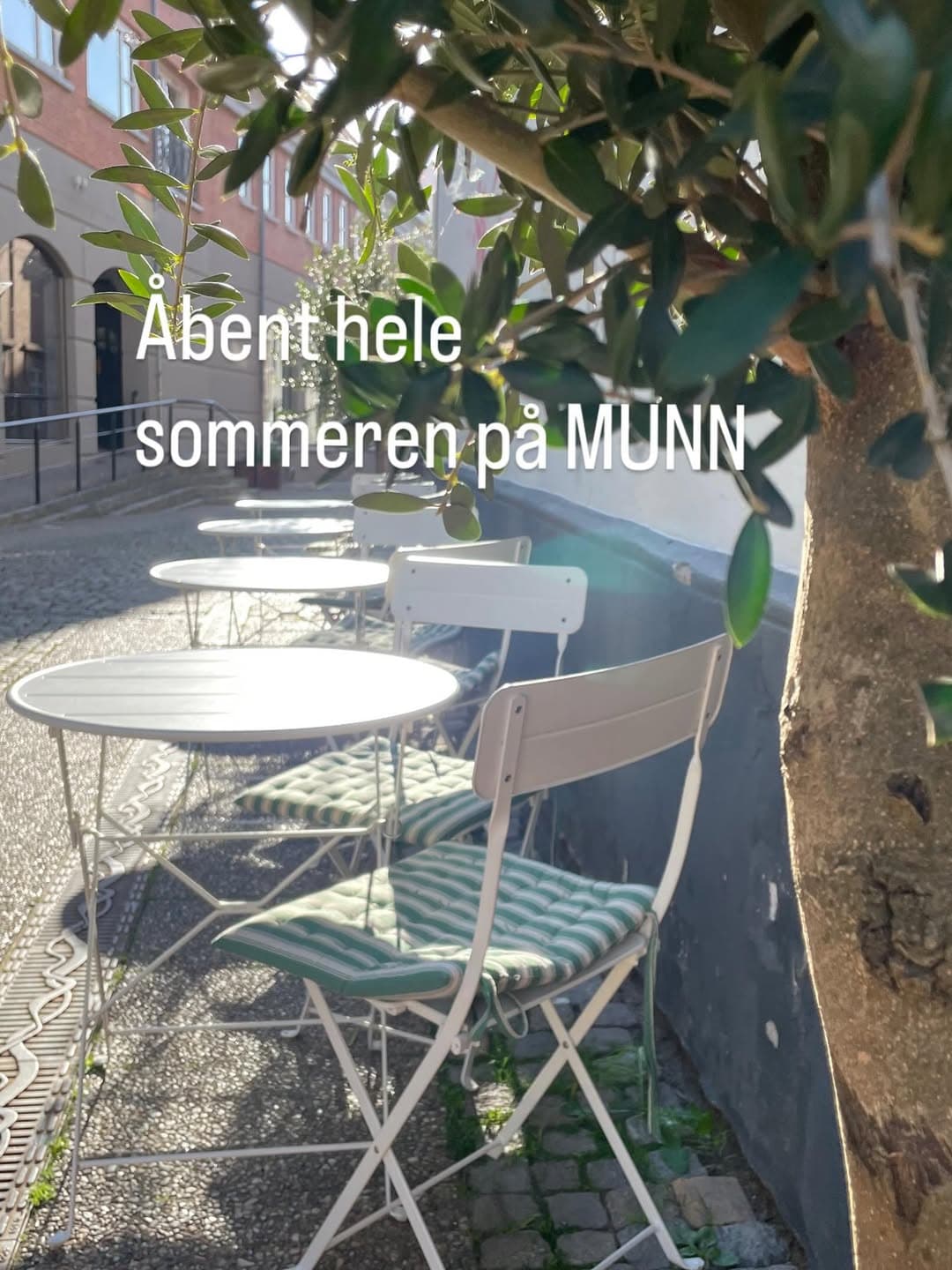 Terrassen på Rådhustorvet med hvide bistroborde, grønne hynder og et oliventræ